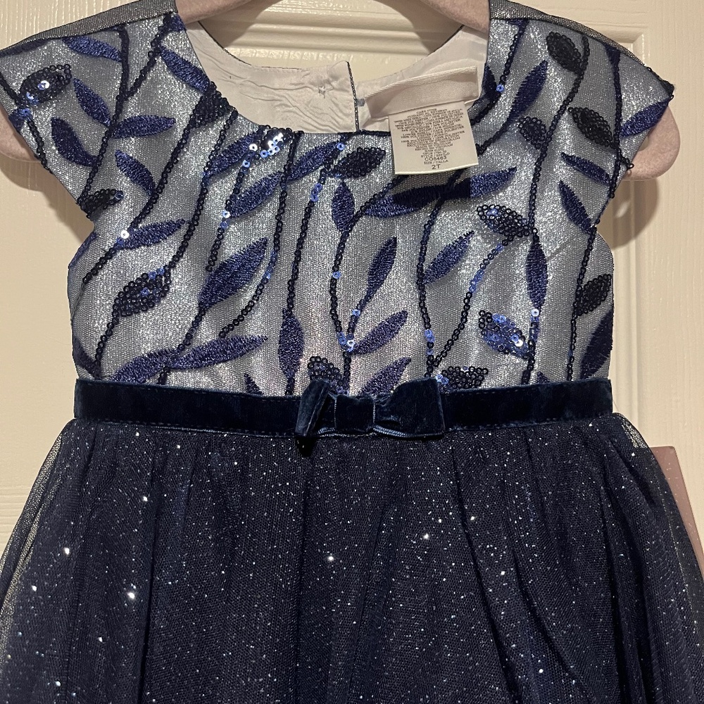 Blue Jona Michelle Toddler Girl’s dressy dress
